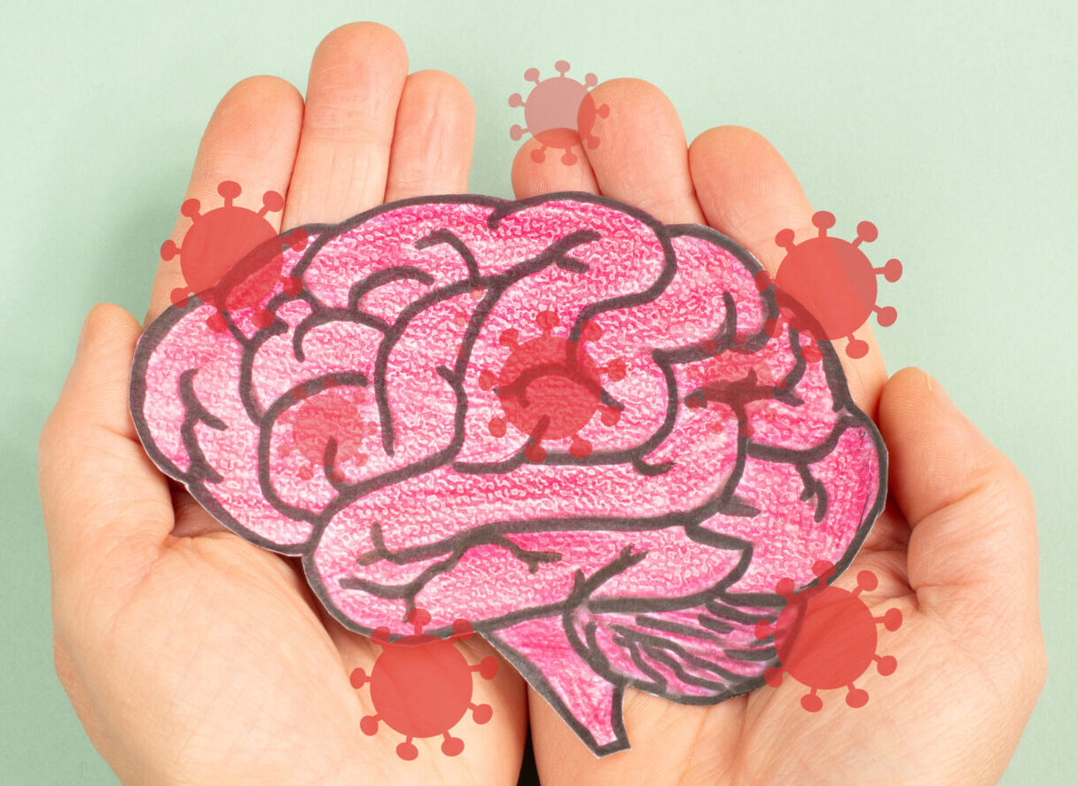 Brain with Borna disease virus infection, neurological disease affecting animal and human, encephalitis and depression, bornaviruses, BDV