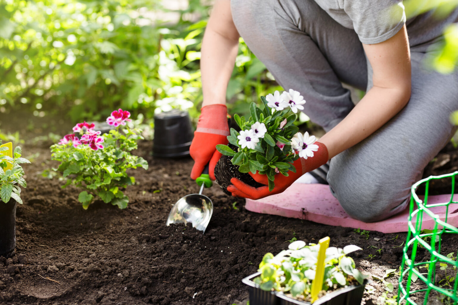 Vital in der Region Gartenarbeit mit Pflanzen ist für die Psyche so