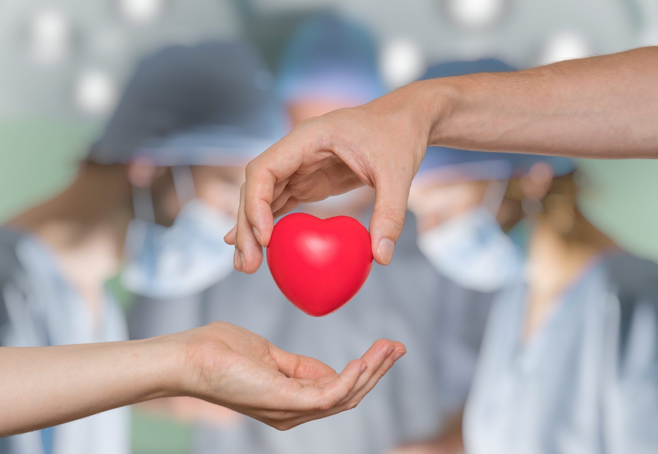Heart transplant and organ donation concept. Hand is giving red