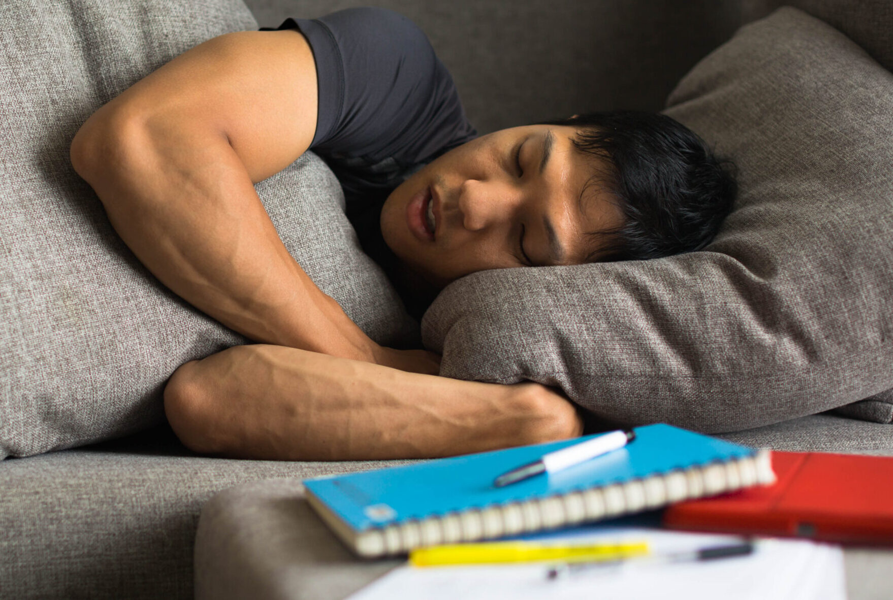 Mehr Input durch Nickerchen: Mittagsschlaf räumt im Gehirn auf und verbessert so die Lernfähigkeit