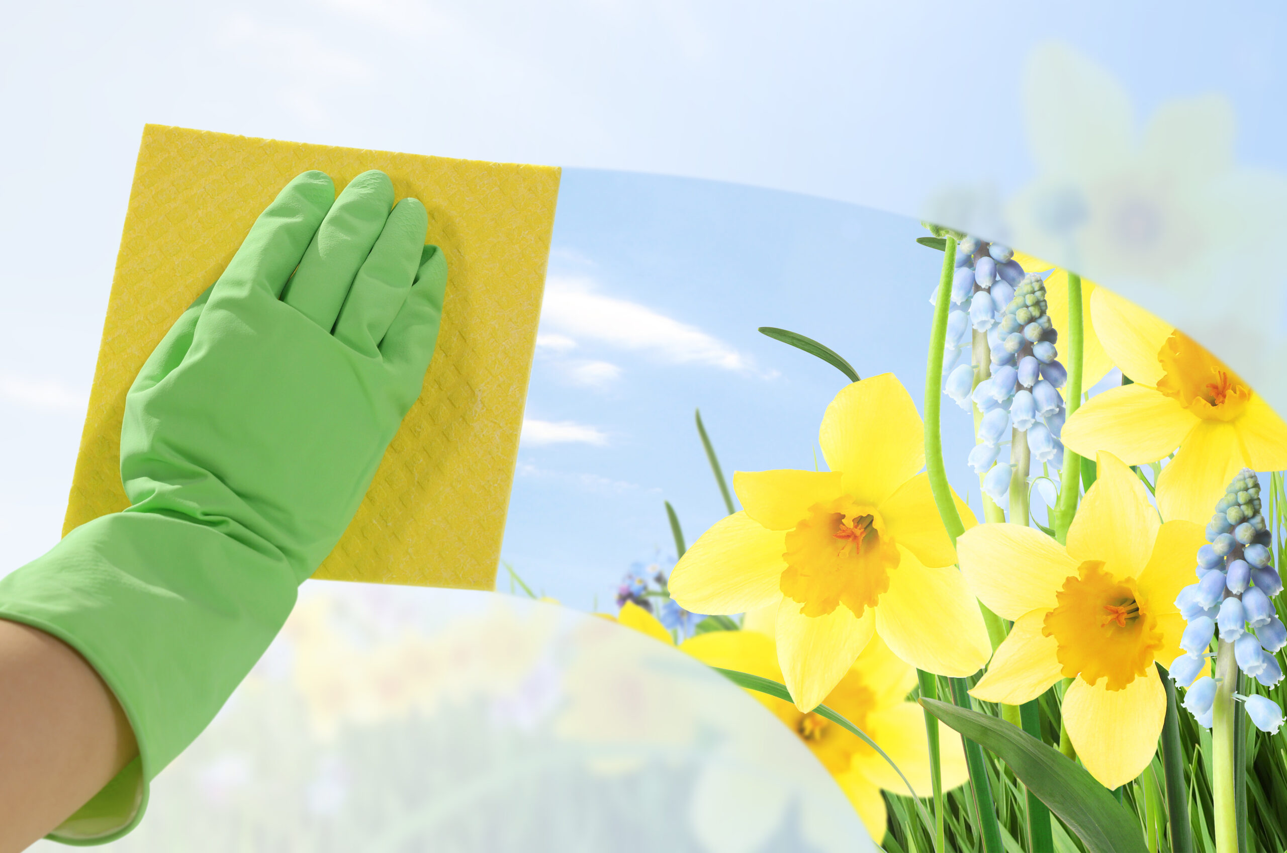 Spring cleaning. Woman washing window, closeup. View on flowers through clear glass