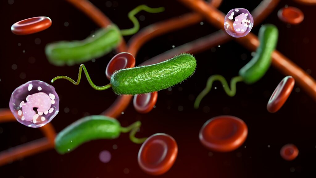 Professor Brunkhorst Packt Aus! Die Geheimnisse Der Sepsis Diagnose Und Nachsorge – Was Sie Wissen Müssen. - pdz08v3