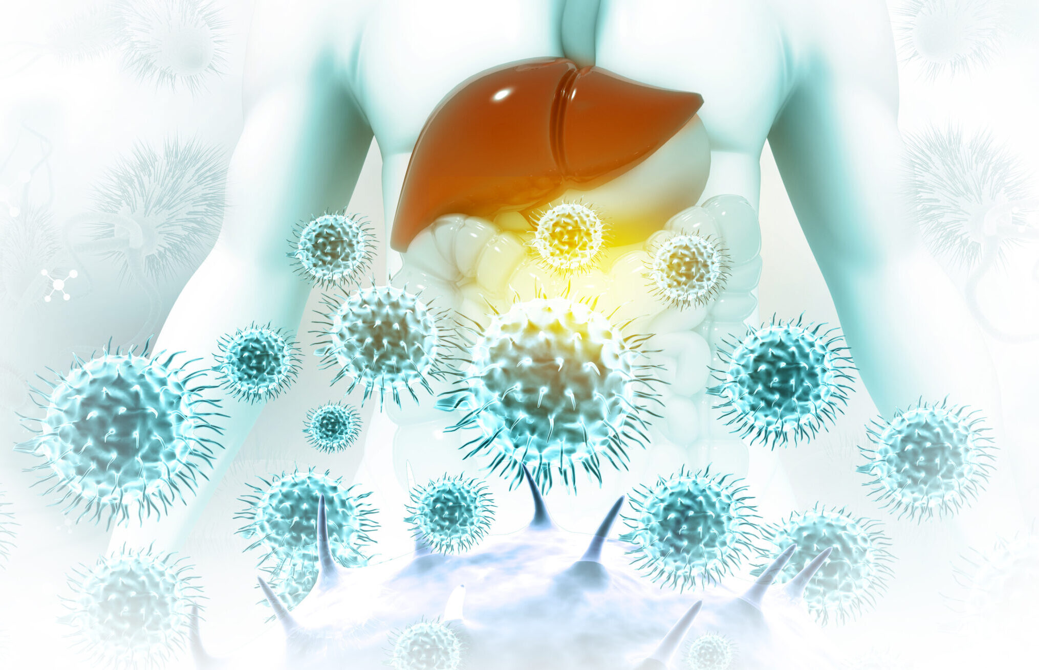 Human liver hepatitis virus infection